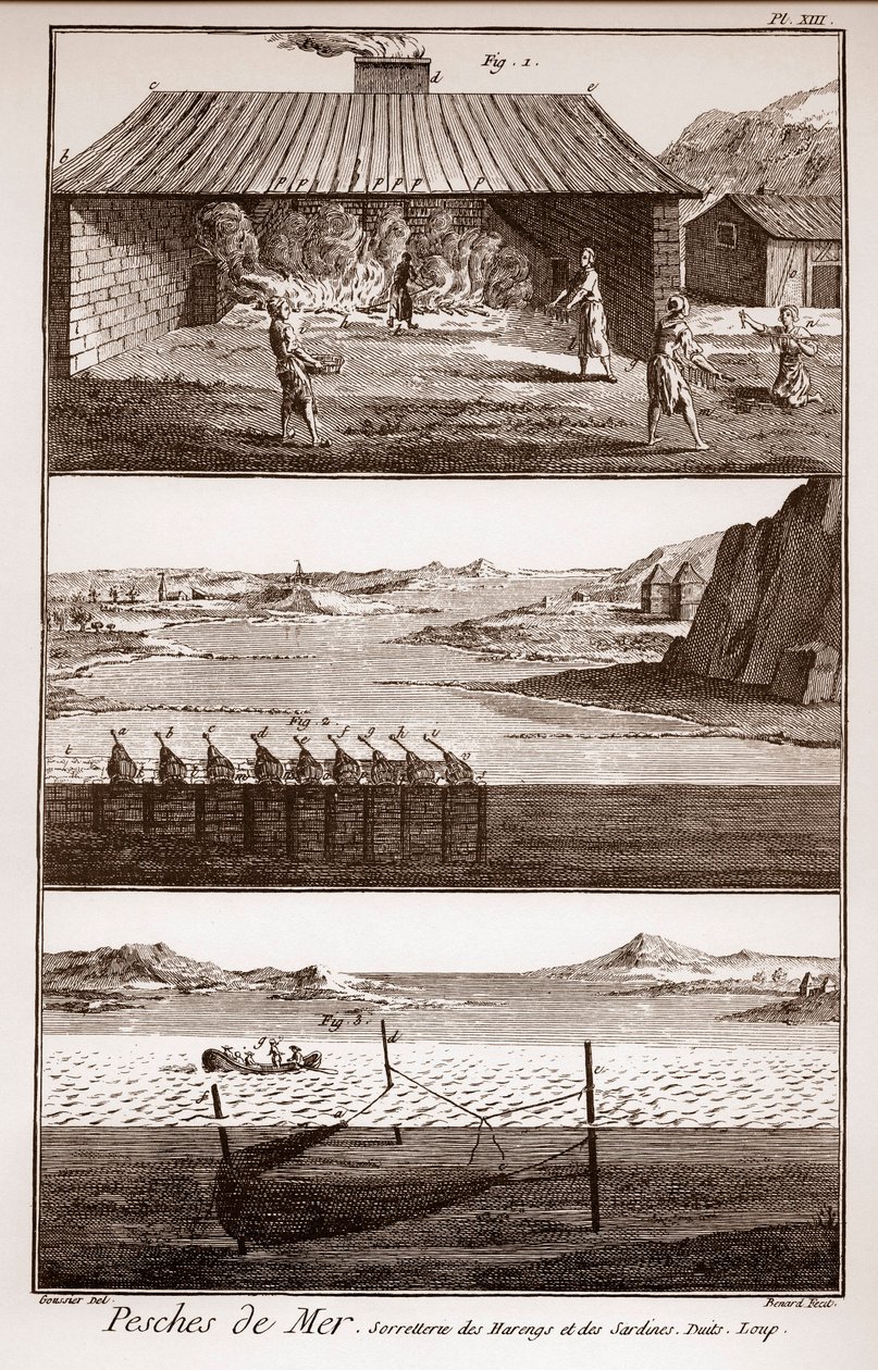 Wędkarstwo, śledzie i sardynki - Peches de Mer - Sorretterie des herring et des sardines - „” La Grande Encyclopédie, ou Dictionnaire Raisonne des Sciences, des Arts et des Metiers”” (Encyklopedia lub Słownik Nauk, Sztuki i Zawodów) autorstwa Deni autorstwa French School