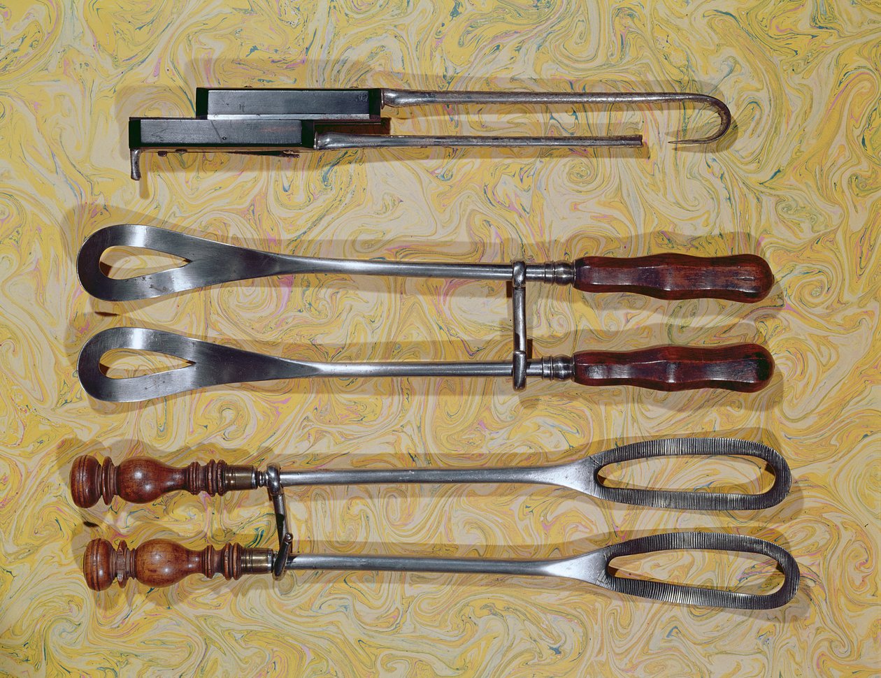 Kleszcze używane przez Jana Palfyna z Gandawy (1650-1730) (drewno i metal) autorstwa French School
