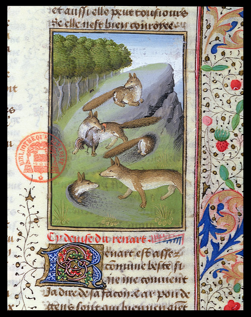 Lisy z Livre de la Chasse Gastona Phebusa autorstwa French School
