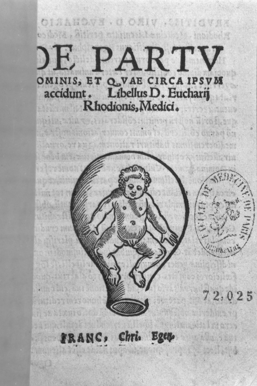 Strona tytułowa, ilustracja z tzw. rękopisu Rodion autorstwa French School
