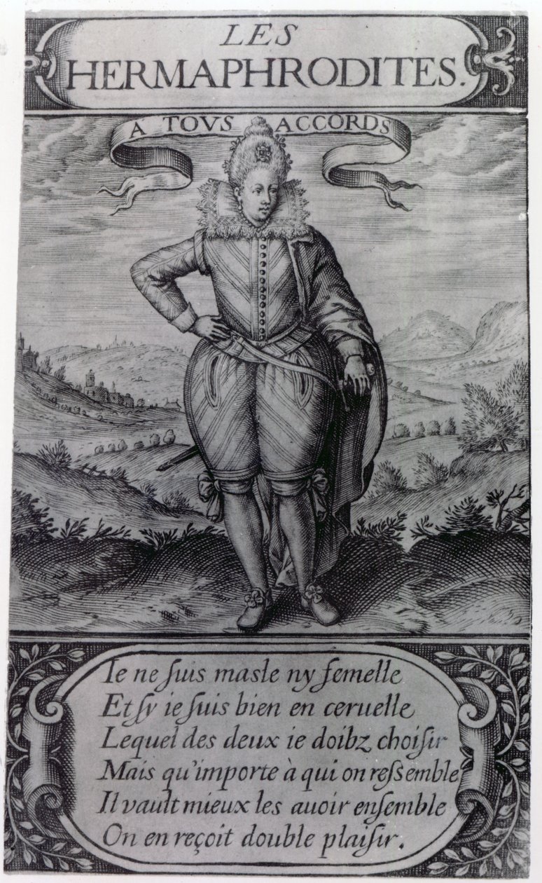 Frontyspis do Les Hermafrodytów autorstwa Thomasa Artusa, 1605 autorstwa French School