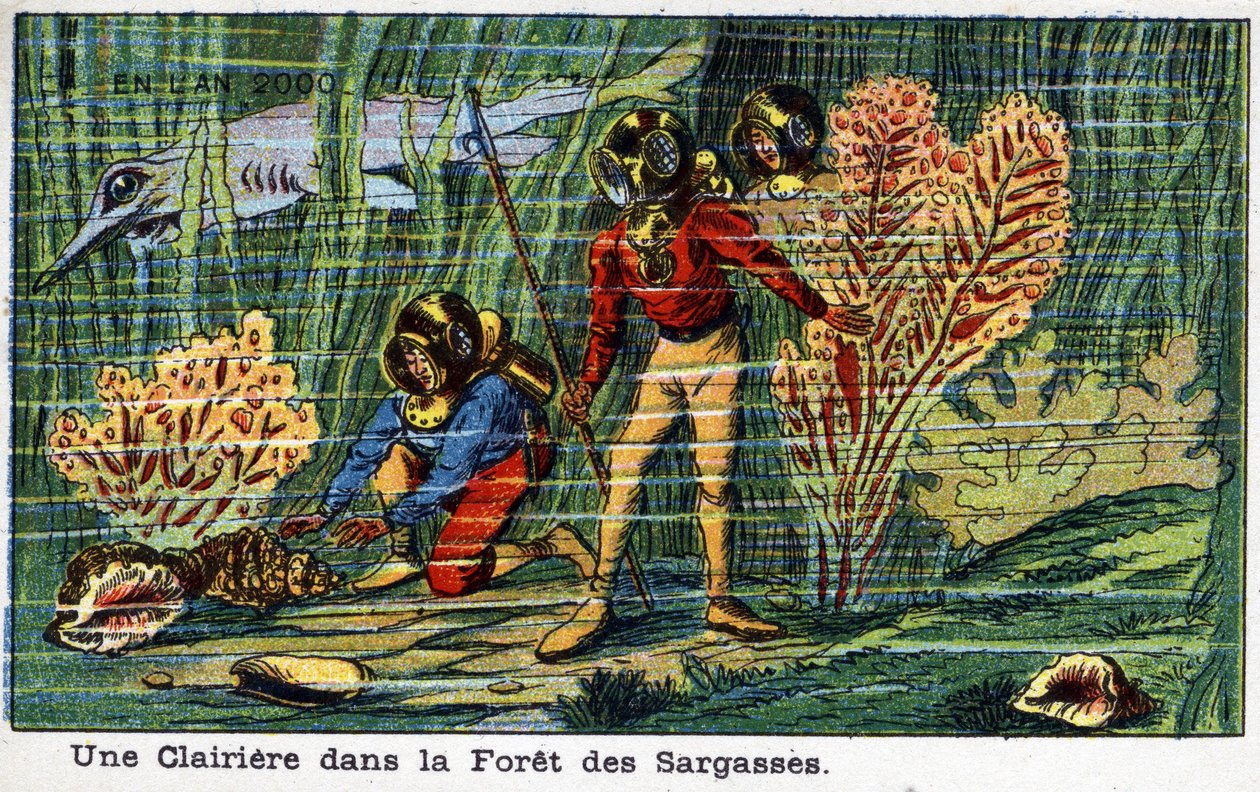 Futuredays: XIX-wieczna wizja roku 2000 - Seria „W 2000”: Polana w lesie Sargasso (pod morzem). Chromolitografia autorstwa Villemarda autorstwa French School