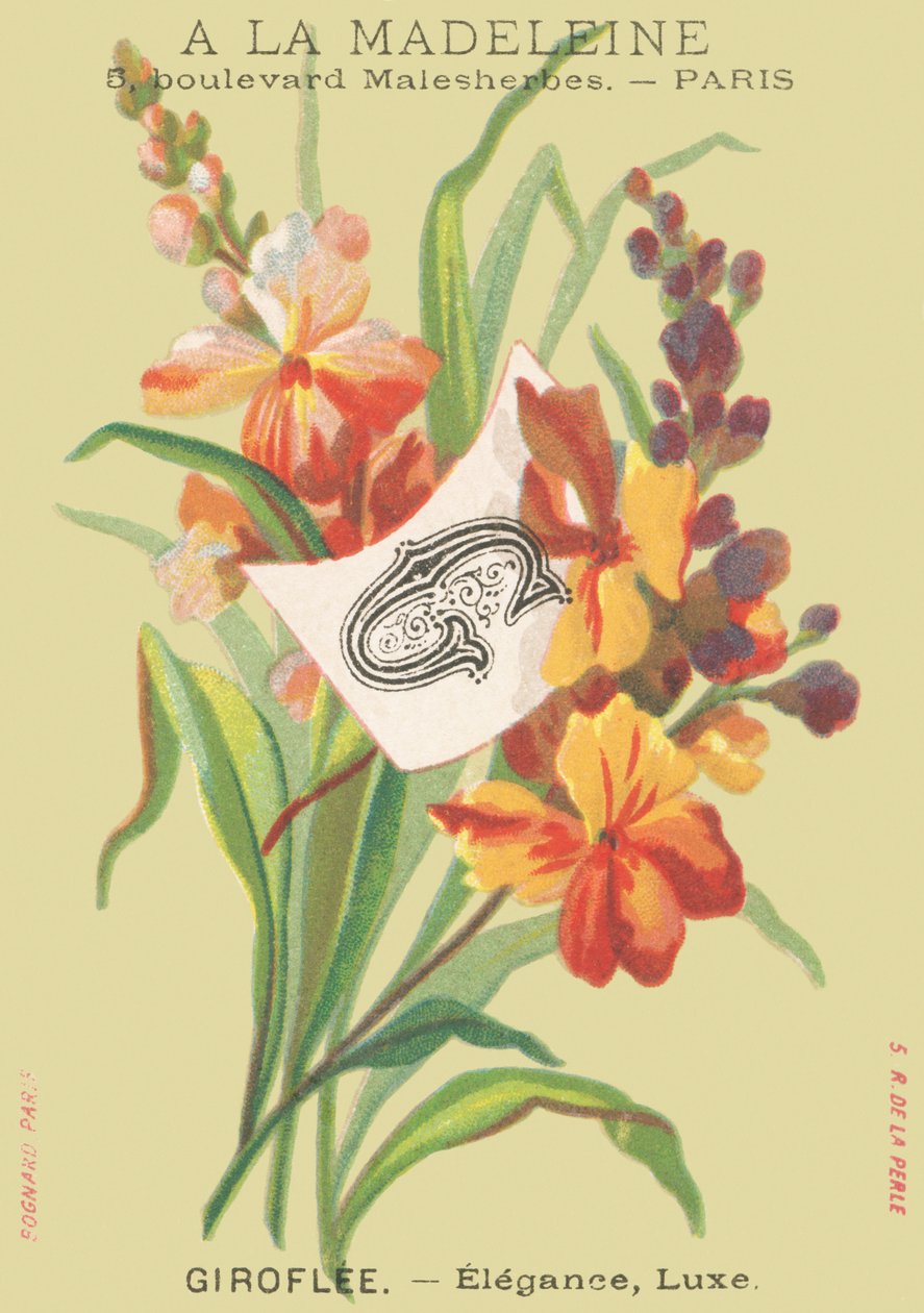 G: Giroflee — elegancja, luksus autorstwa French School