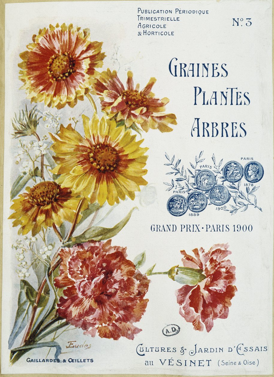 Gaillardy i goździki - okładka magazynu „Nasiona Rośliny Drzewa”, nr 3 autorstwa French School