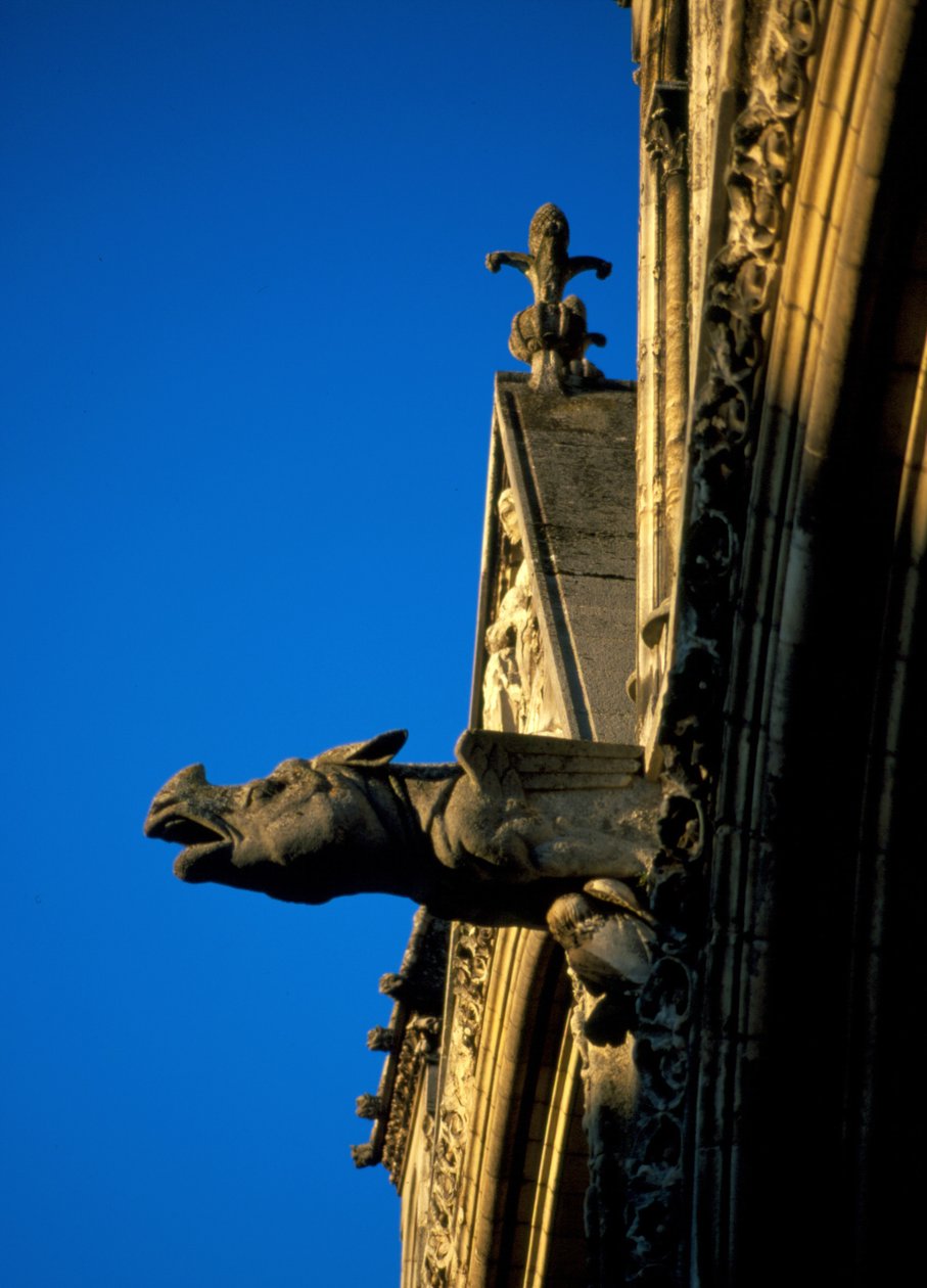 Katedra Gargoyle of Laon w Aisne (02) autorstwa French School