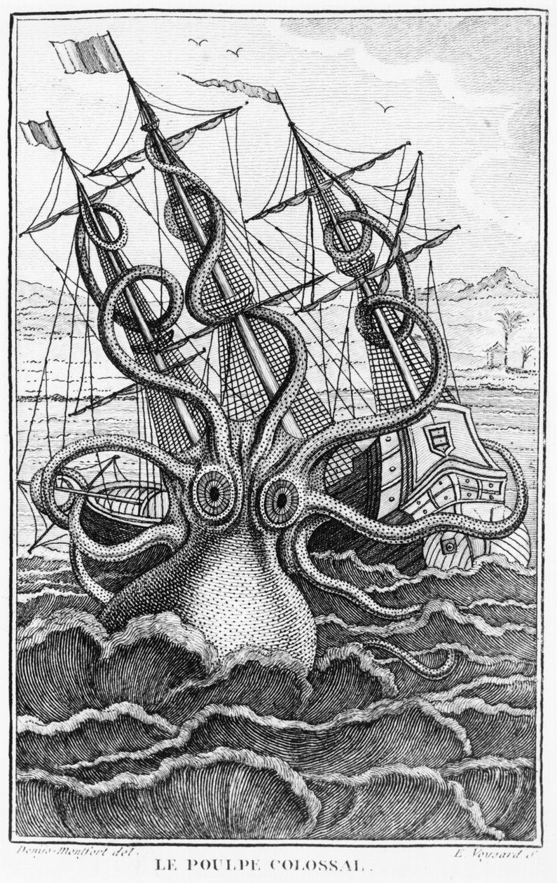 Olbrzymia ośmiornica, ilustracja z Ogólnej i szczegółowej historii naturalnej mięczaków autorstwa Denys-Montfort, c. 1802-03 autorstwa French School