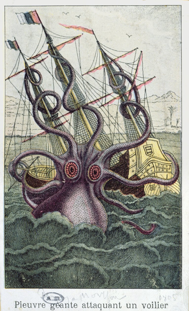 Olbrzymia ośmiornica, ilustracja z Ogólnej i szczegółowej historii naturalnej mięczaków autorstwa Denys-Montfort, c. 1802-03 autorstwa French School