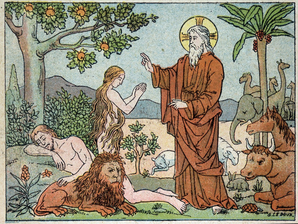 Bóg: 6 dzień stworzenia - w „Świętej historii w 120 obrazach”, wyd. Maison de la Bonne Presse w Paryżu autorstwa French School