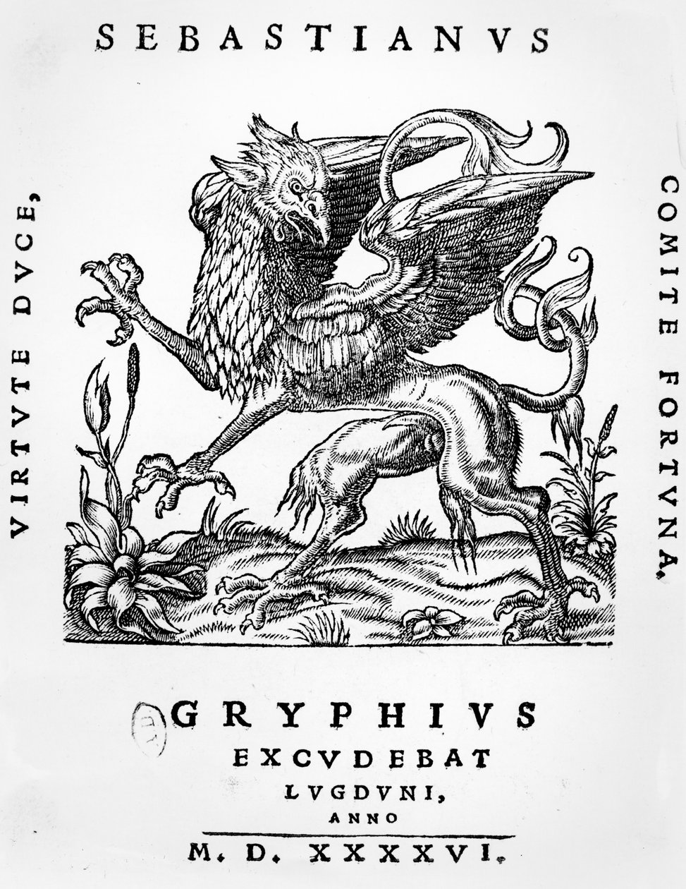 Godło drukarzy gryfa Sebastianusa Gryphiusa, Lyon, 1546 autorstwa French School