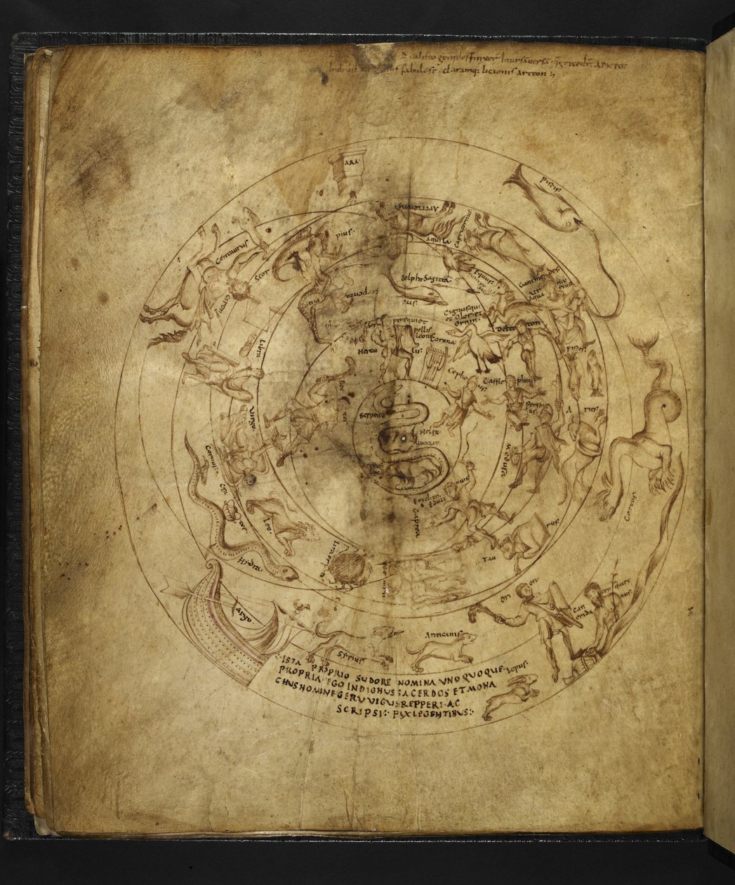 Harley 647 f.21v Diagram półkuli północnej i południowej, z „Aratusa” Marcusa Tulliusa Cicero (welum). autorstwa French School