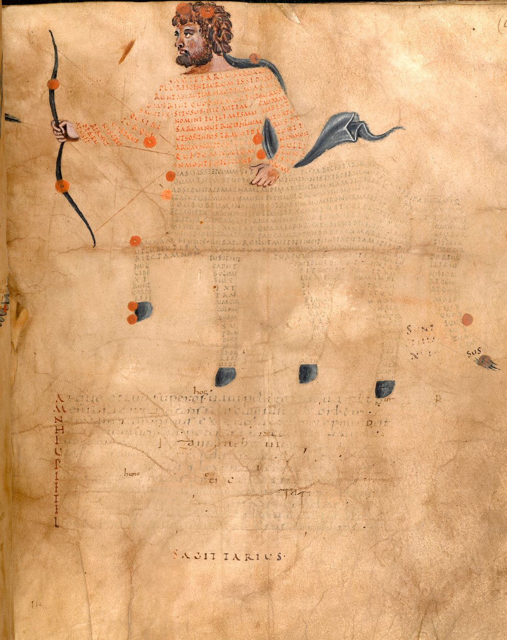 Harley 647, f.3v Ilustracja konstelacji Strzelca, z „Harley Aratus” autorstwa Marcusa Tilliusa Cicero, c.1820-40 (wellum) autorstwa French School