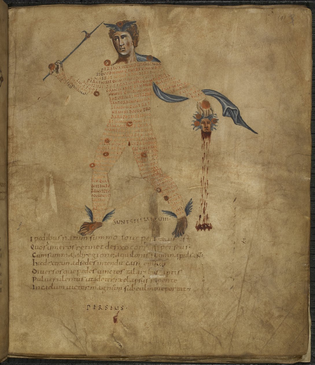 Harley 647, f.4 Ilustracja Perseusza, bohatera mitologii greckiej, z głową wężowłosej Meduzy, z tekstem lub scholią w postaci konstelacji, z „Aratusa” Marka Tulliusza Cycerona (wellum) autorstwa French School