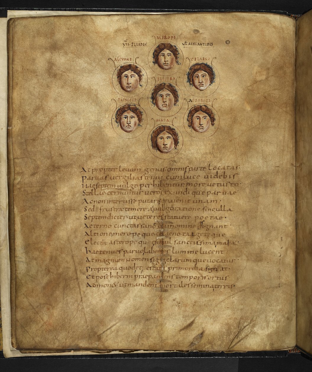 Harley 647, f.4v Ilustracja twarzy Plejad, siedmiu sióstr, które żyły w niebiosach jako gwiazdy, z ich imionami wypisanymi wokół nich, z „Aratusa” Marcusa Tulliusa Cicero (wellum) autorstwa French School