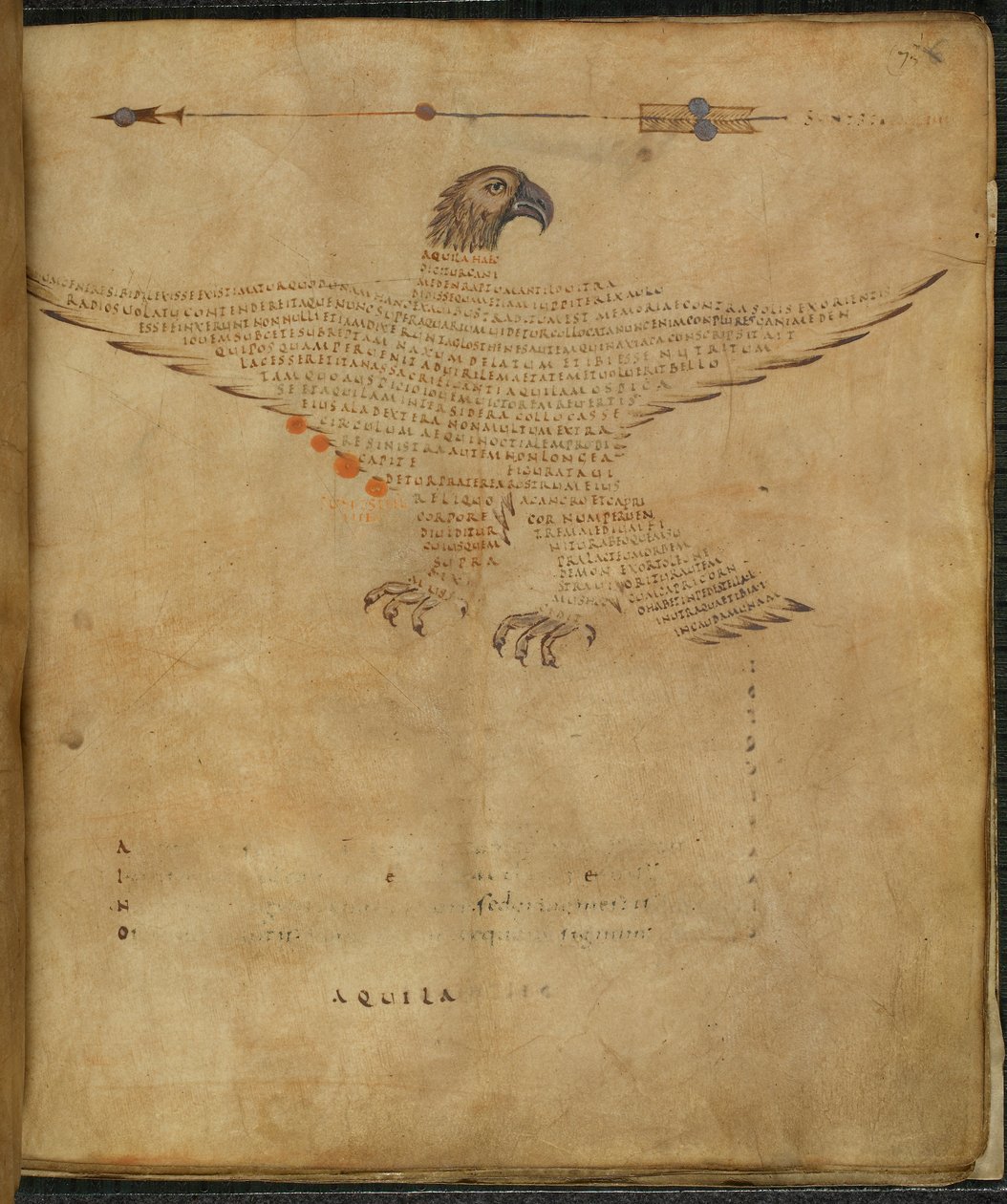 Harley 647, f.7 Ilustracja konstelacji 