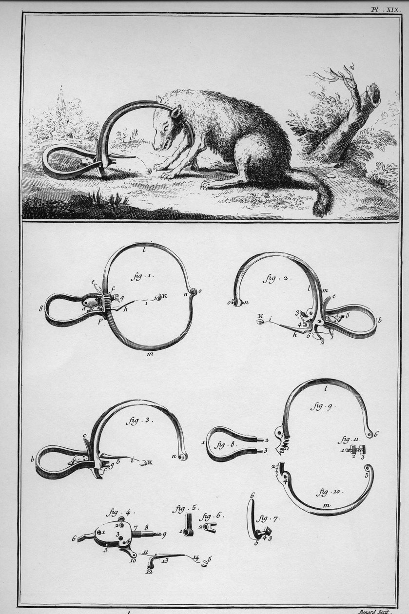 Polowanie - lis złapany na trackenard (Piege) - „” The Great Encyclopedie, ou Dictionnaire Raisonne des Sciences, des Arts et des Metiers”” (Encyklopedia lub słownik nauk, sztuki i zawodów) autorstwa Denisa Diderota (1713-1784) i Jean d