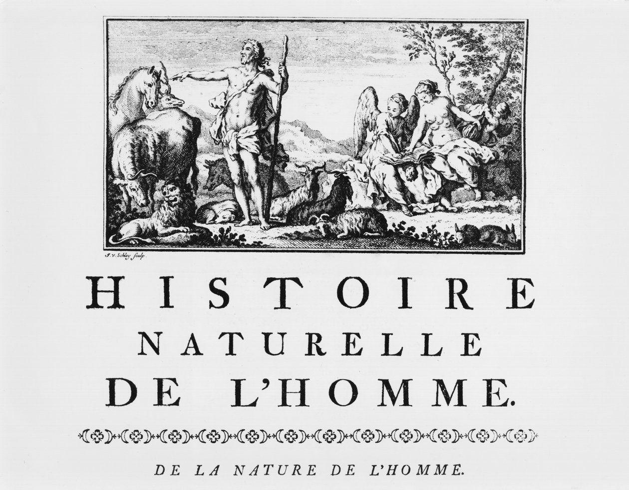 Ilustracja z Historii Naturalnej Człowieka autorstwa Georgesa de Buffona (1707-88) wydana w 1749 r., Paryż autorstwa French School