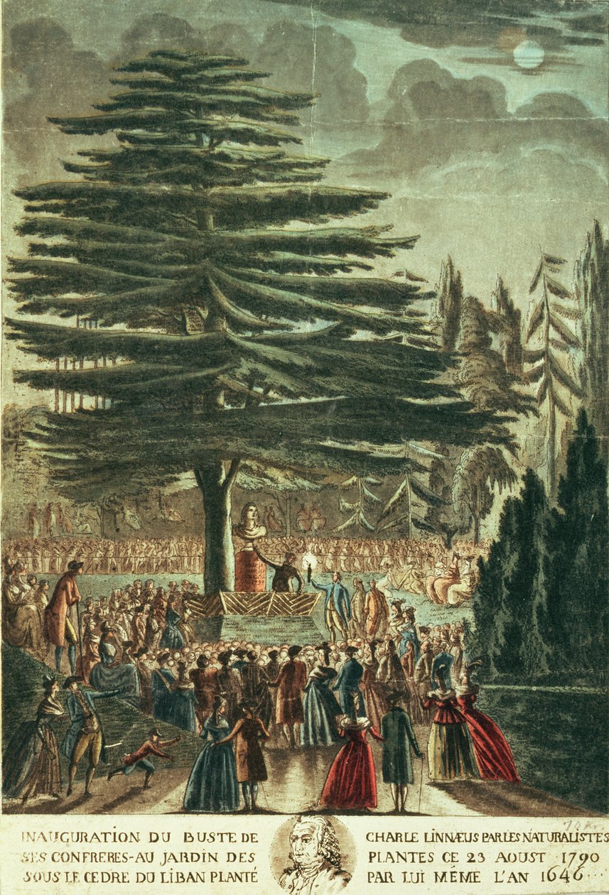 Inauguracja popiersia Karola Linneusza (1707-78) w Jardin des Plantes, pod Cedrem Libanu, który zasadził w 1646 r., 23 sierpnia 1790 r. autorstwa French School