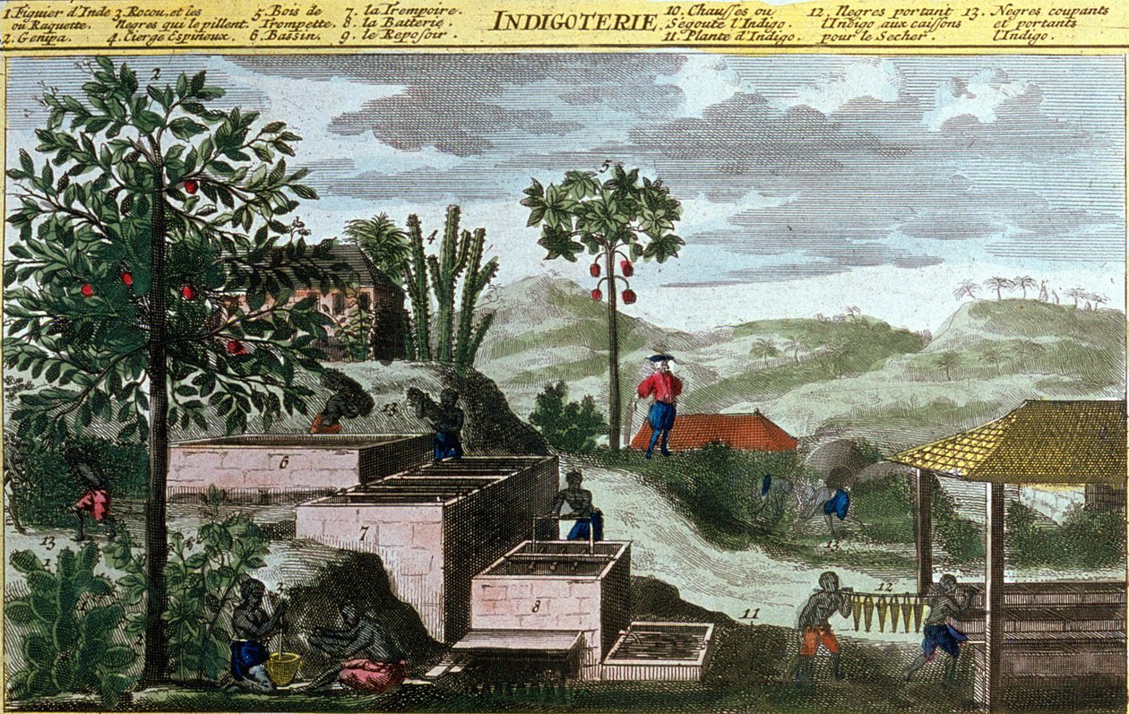 Indigoterie w Indiach Zachodnich, szczegół 00155 - w „Ogólnej historii Antyli zamieszkałych przez Francuzów przez Du Tertre”, początek XIX wieku autorstwa French School