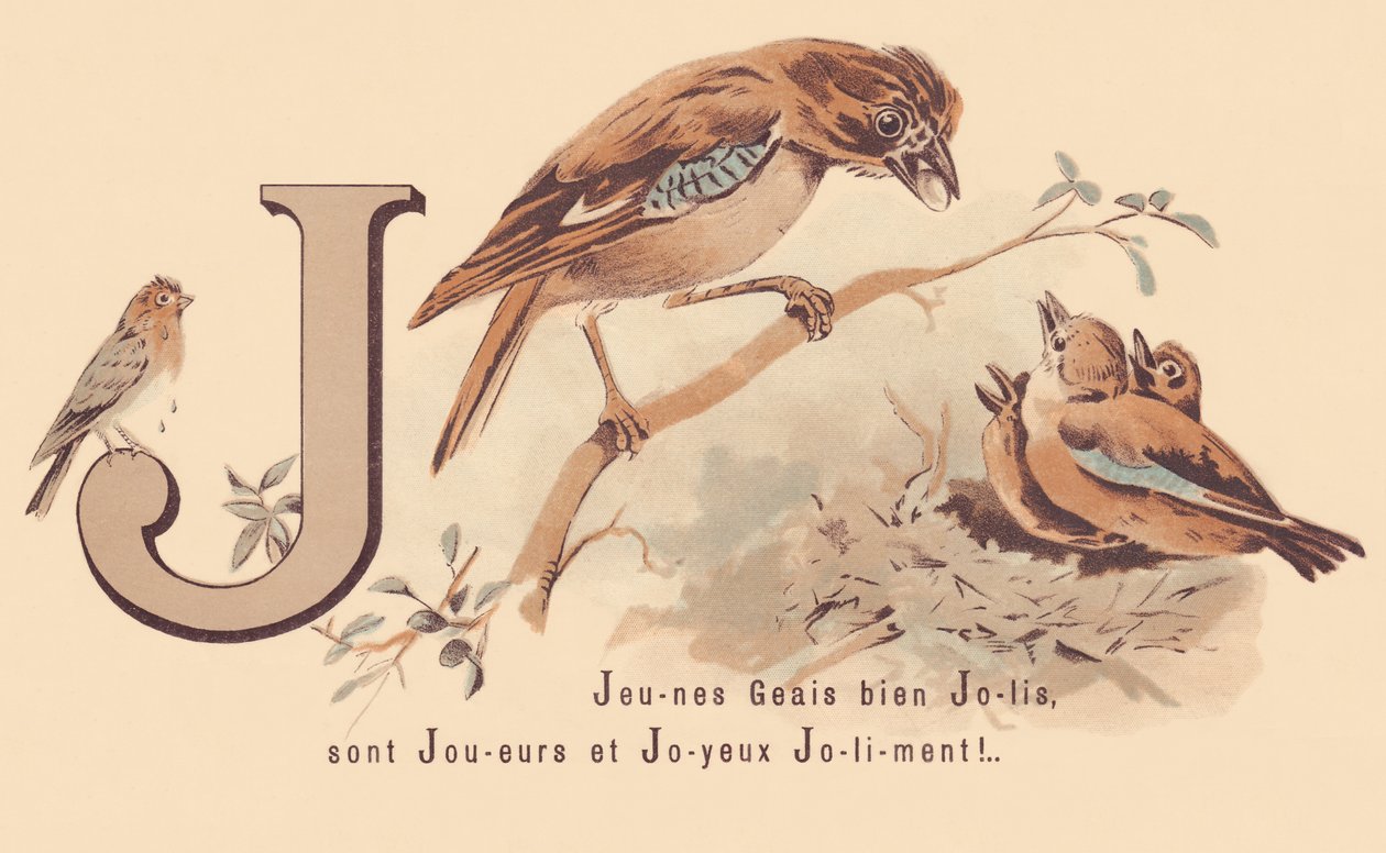 J: Młode Jays Pretty to Players i Happy Jolily! autorstwa French School