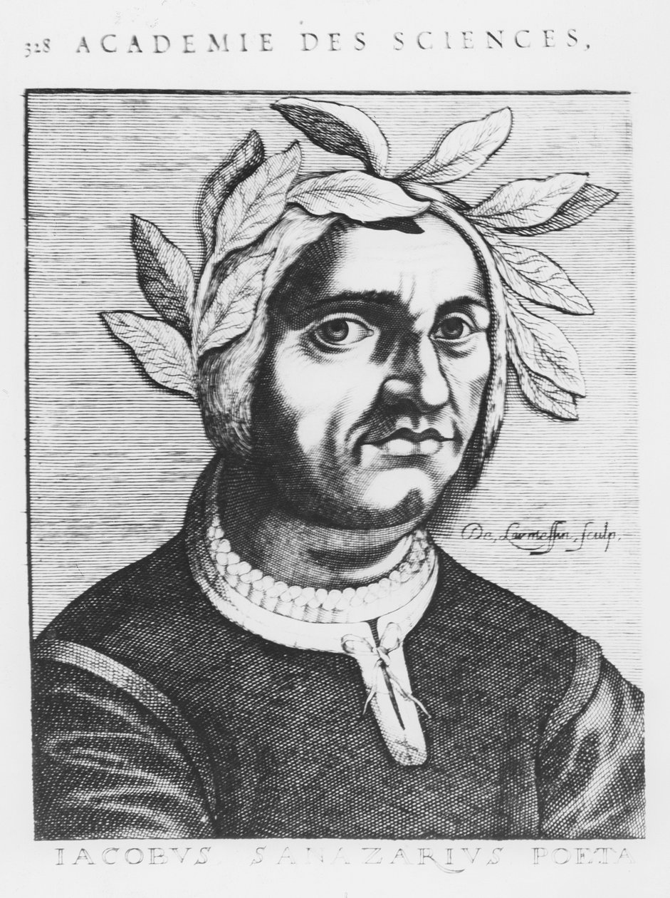 Jacopo Sannazaro (grafika) autorstwa French School