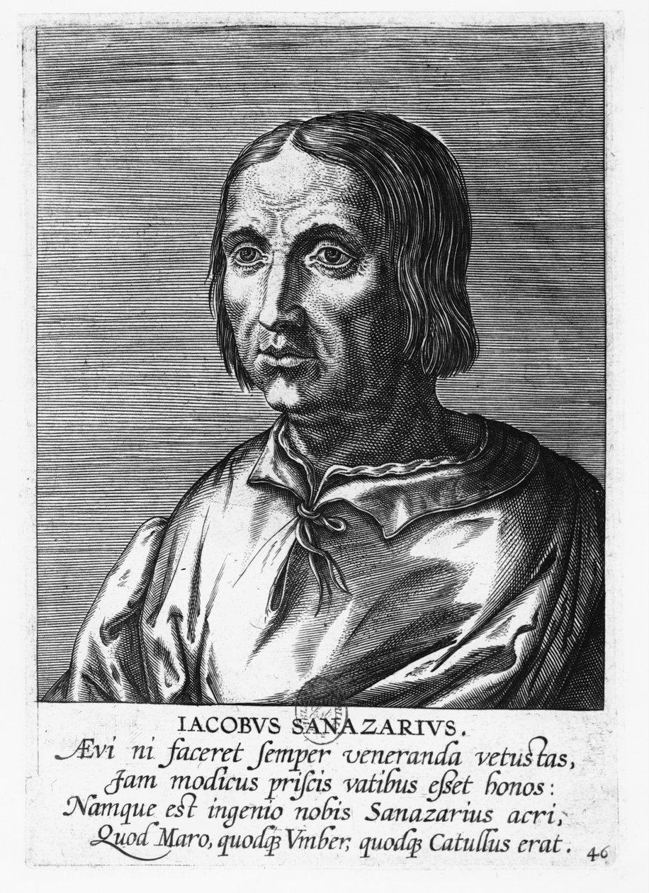 Jacopo Sannazaro (grafika) autorstwa French School