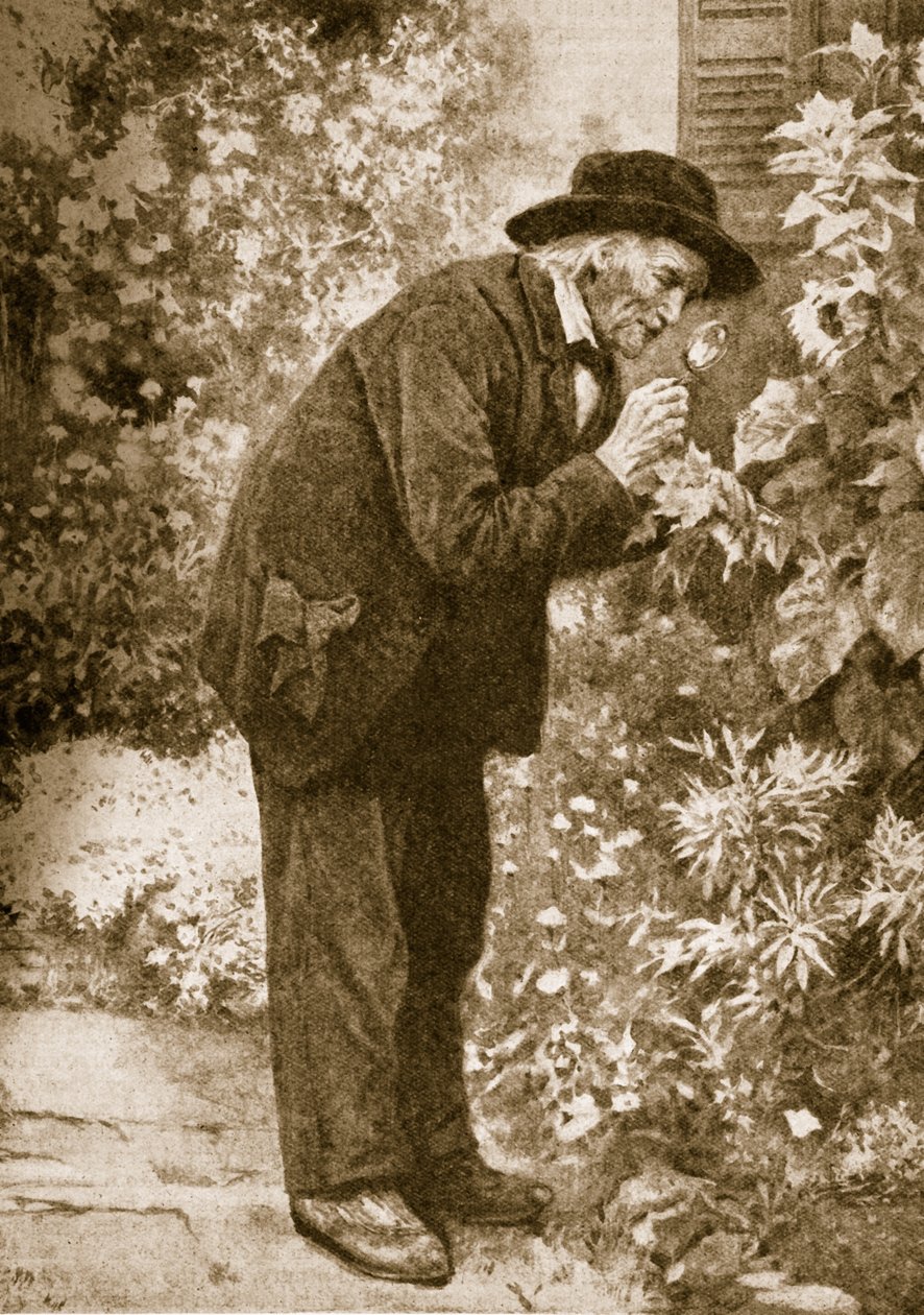 Jean-Henri Fabre obserwujący owady autorstwa French School