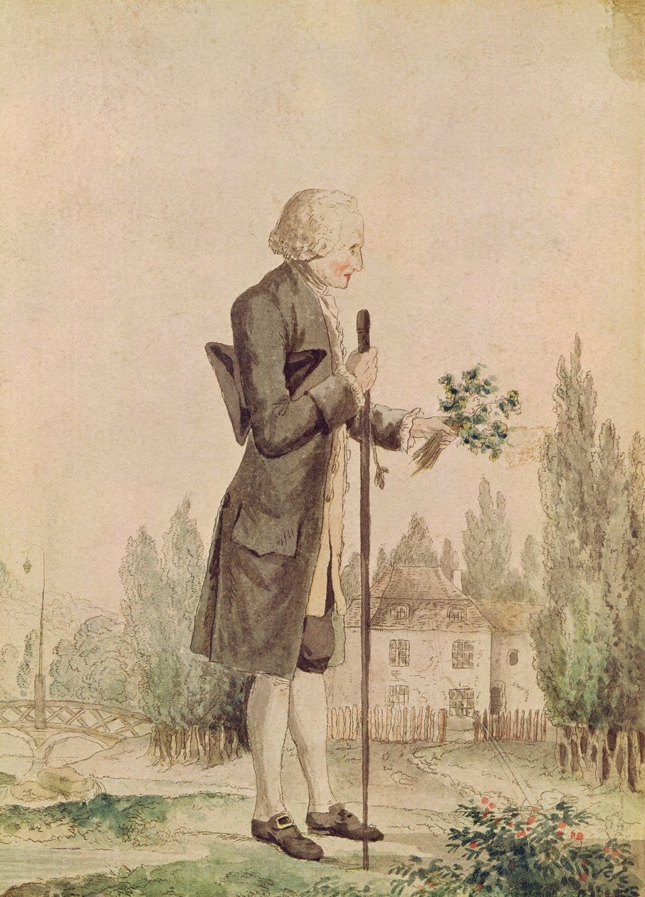 Jean-Jacques Rousseau (1712-78) Zbieranie ziół w Ermenonville autorstwa French School