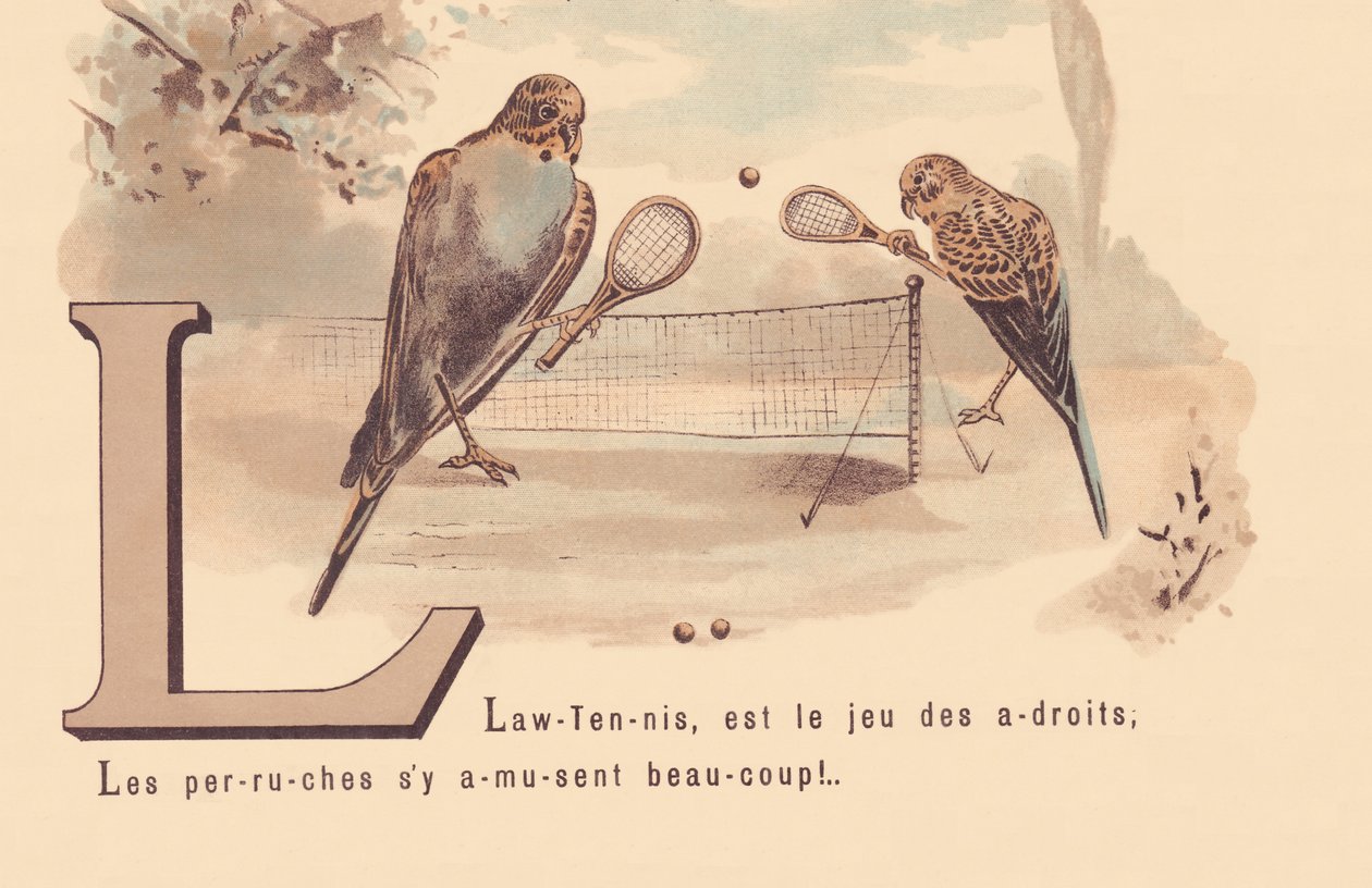 L: Lawn-Tenis to gra mądrych; Papużki mają dużo zabawy! autorstwa French School
