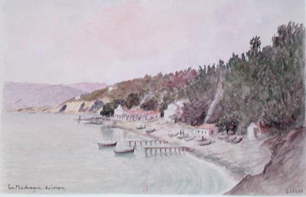 La Madrague des Lecques (akwarela na papierze) autorstwa French School
