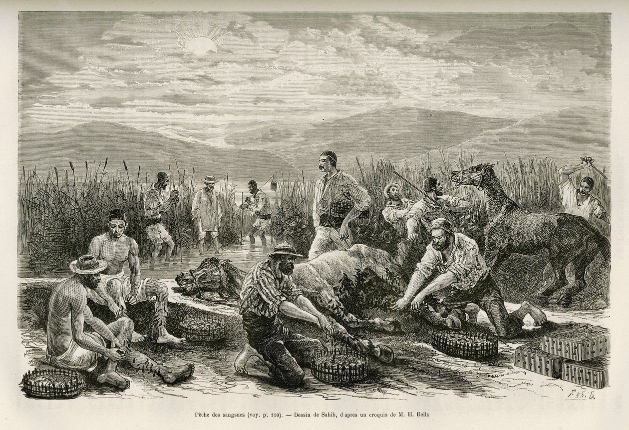 The Fishing of the Leeches, narysowany przez Sahiba, ilustrujący historię Henry