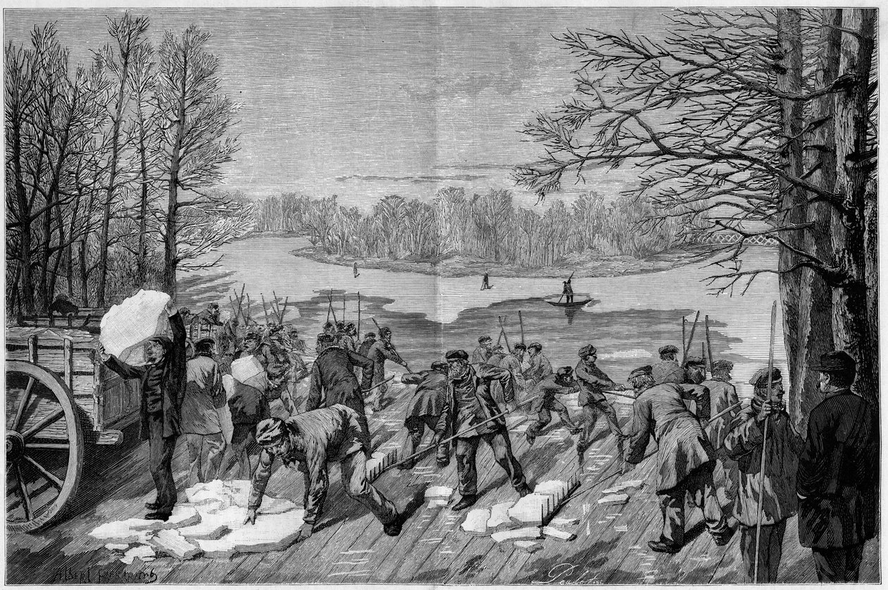 Zbieranie lodu na zamarzniętych jeziorach Bois de Vincennes, w „The Illustrous World” 1887. autorstwa French School