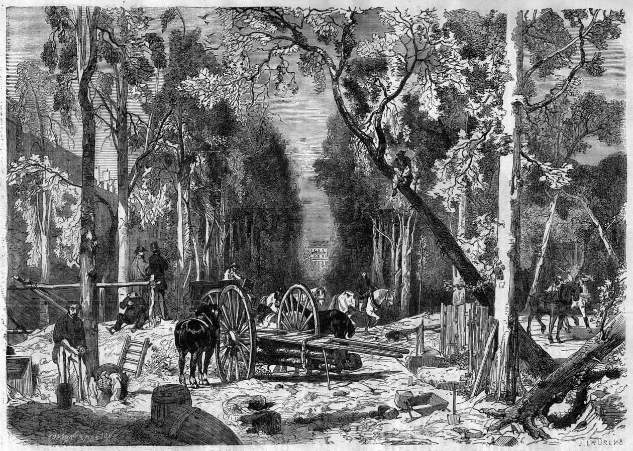 Drwal w Ogrodzie Luksemburskim w Paryżu w 1870 r. - Rycina z 1870 r. autorstwa French School