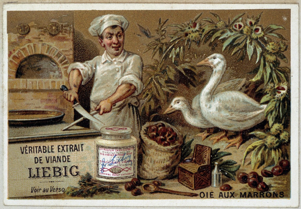 Przepisy Liébiga: gęś z kasztanami - chromo. Liébiga autorstwa French School