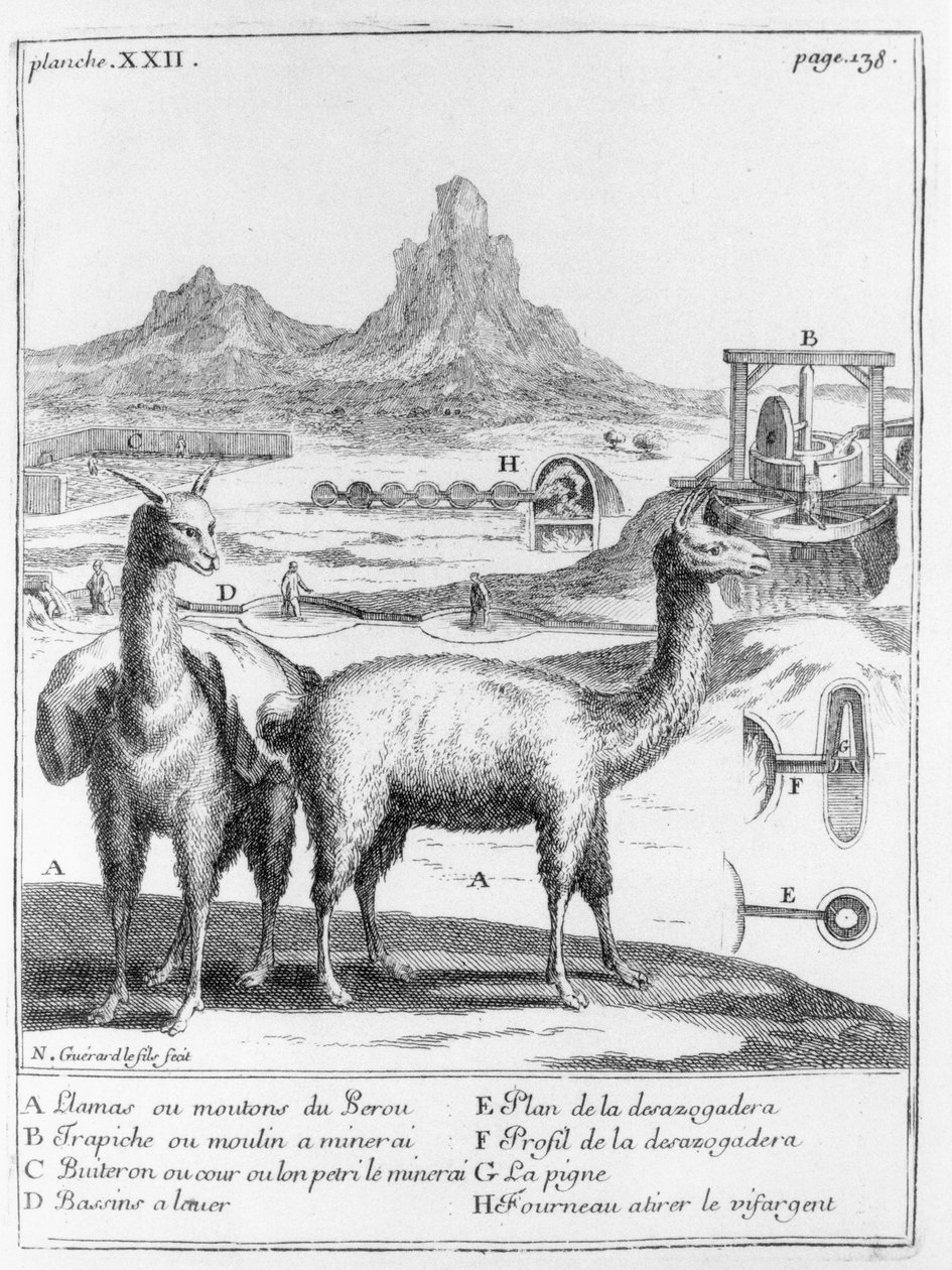 Lamy i diagramy dotyczące wydobycia minerałów, z Relation du voyage de la mer du sud aux cotes du Chily et du Perou autorstwa A.F. Frezier, 1716 autorstwa French School