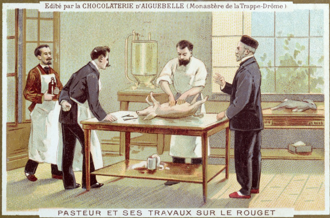 Louis Pasteur (1822-95) pracujący nad dochodzeniem w sprawie odry, karta reklamowa dla Chocolaterie dAiguebelle autorstwa French School