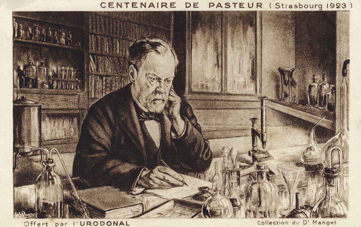 Louis Pasteur autorstwa French School