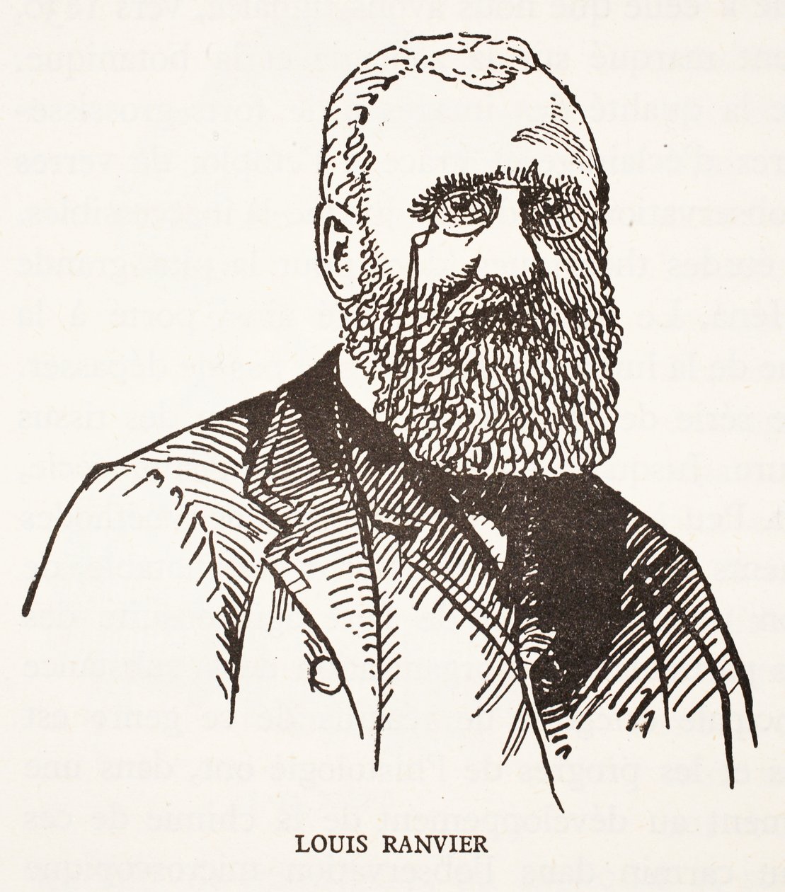 Louis Ranvier autorstwa French School