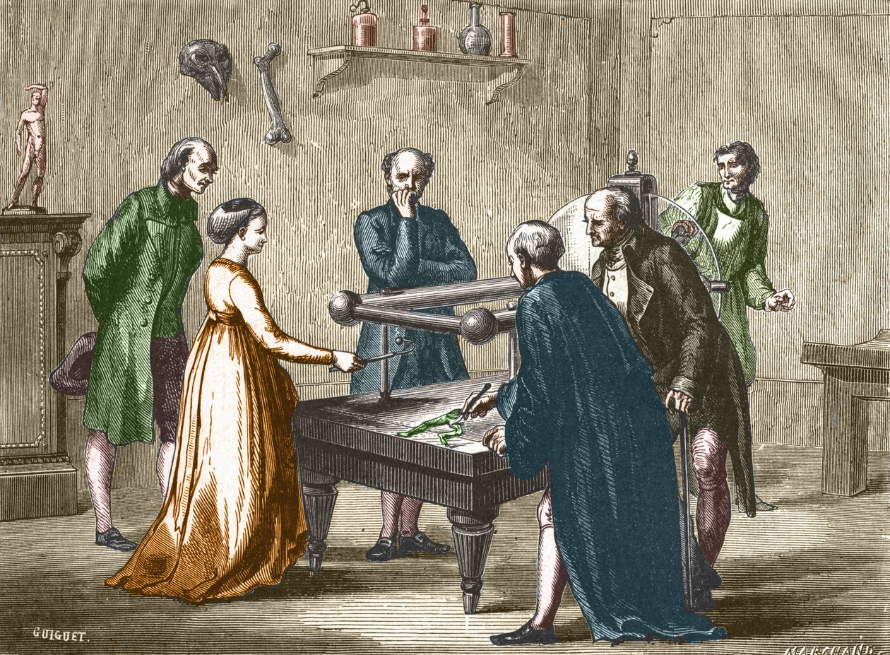 Luigi Galvani, profesor w Bolonii, odkrył w 1780 r. drażliwość mięśni żaby pod wpływem elektryczności - w „Albumie Nauki; wybitni naukowcy; Wielkie odkrycia”” 1896. autorstwa French School