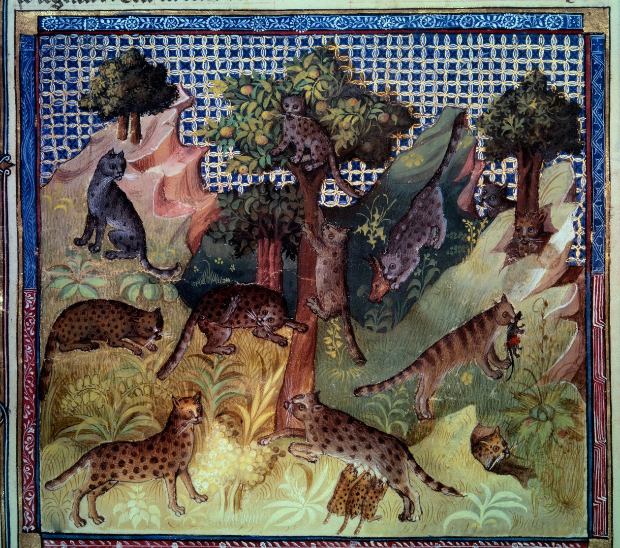 Ryś dzikie koty w górach. Miniatura z „Księgi łowów” Gastona III Phoebusa, hrabiego Foix, lorda Bearn (1331-1391) autorstwa French School