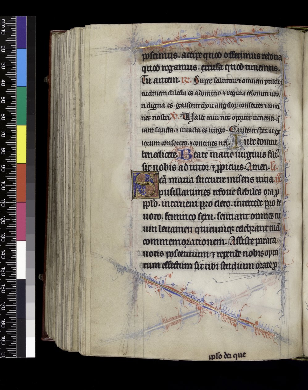 MS 300 f.189v, Jutrznia, z Psałterza i Godzin Izabeli Francuskiej, Paryż, c.1265-70 autorstwa French School