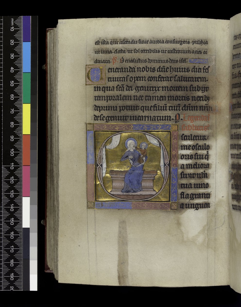 MS 300 f.284v, Pieśń nad Pieśniami, z Psałterza i Godzin Izabeli Francuskiej, Paryż, ok. 1265-70 (pióro i tusz oraz tempera na pergaminie) autorstwa French School