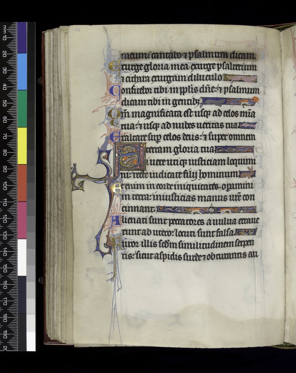 MS 300 f.61v, folio z Psałterza i Godzin Izabeli Francuskiej, Paryż, c.1265-70 autorstwa French School