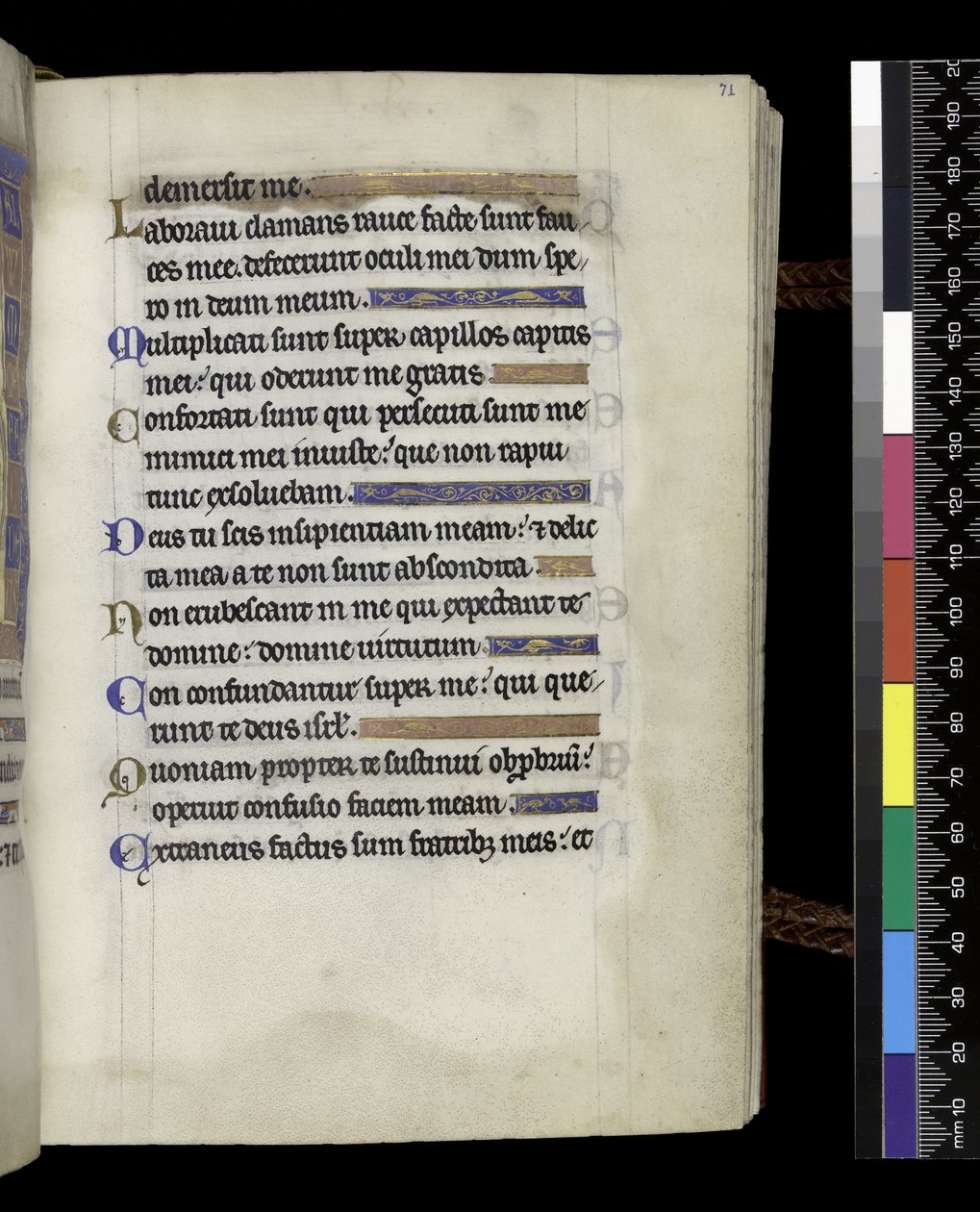 MS 300 f.71r, z Psałterza i Godzin Izabeli Francuskiej, Paryż, ok. 1265-70 (pióro i tusz oraz tempera na pergaminie) autorstwa French School
