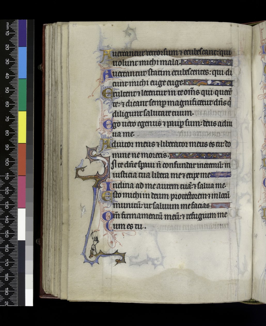 MS 300 f.73v, z Psałterza i Godzin Izabeli Francuskiej, Paryż, c.1265-70 autorstwa French School