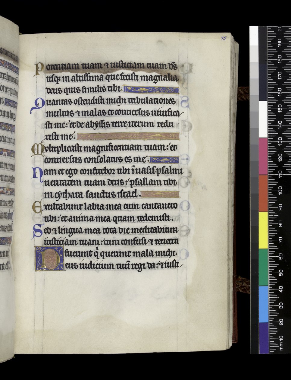 MS 300 f.75r, z Psałterza i Godzin Izabeli Francuskiej, Paryż, ok. 1265-70 (pióro i tusz oraz tempera na pergaminie) autorstwa French School