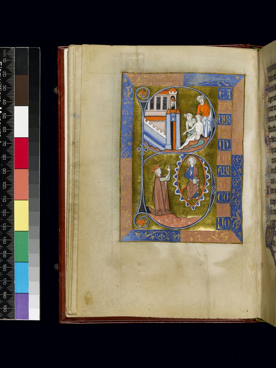 MS 300 f.XIII, folio z Psałterza i Godzin Izabeli Francuskiej, Paryż, ok. 1265-70 (pióro i tusz oraz tempera na pergaminie) autorstwa French School
