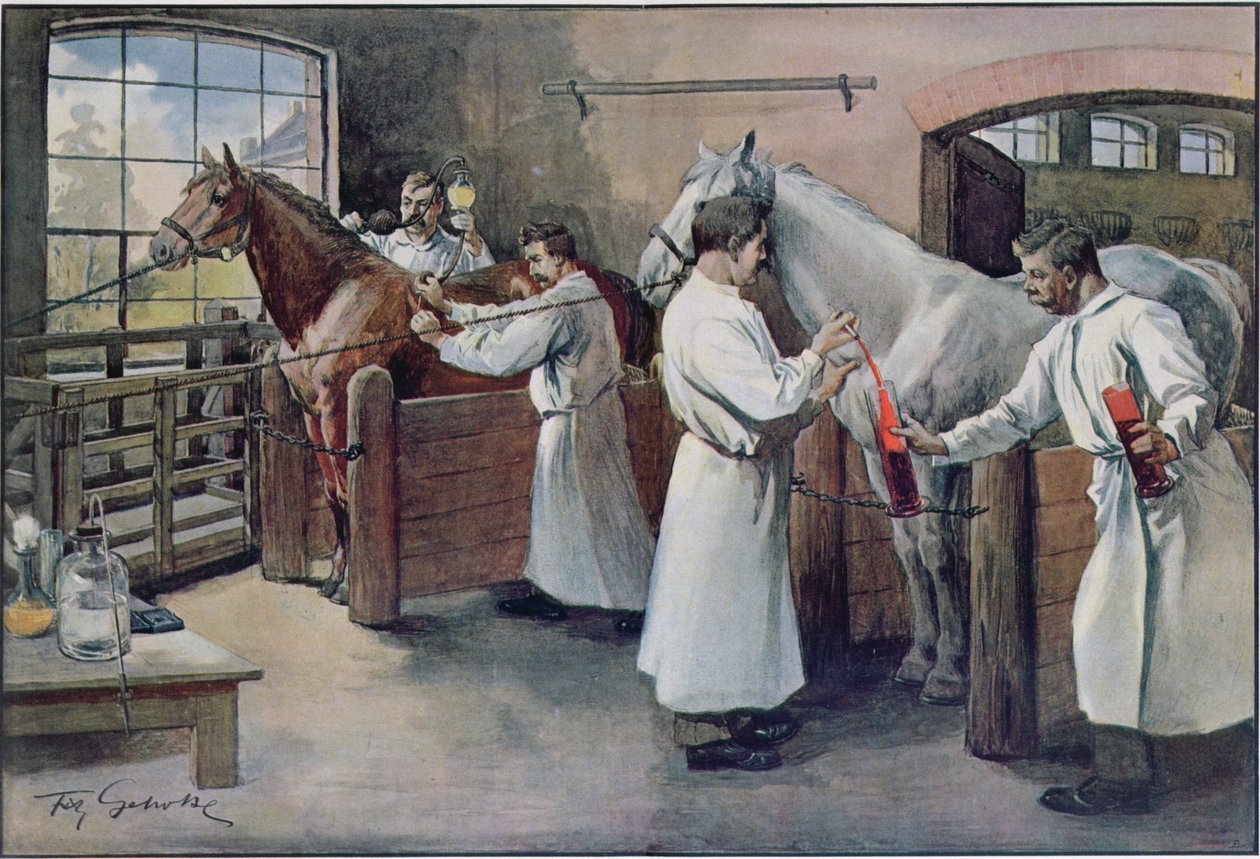 Wytwarzanie surowicy błonicy z krwi końskiej, z Les Animaux, ok. 1900 autorstwa French School