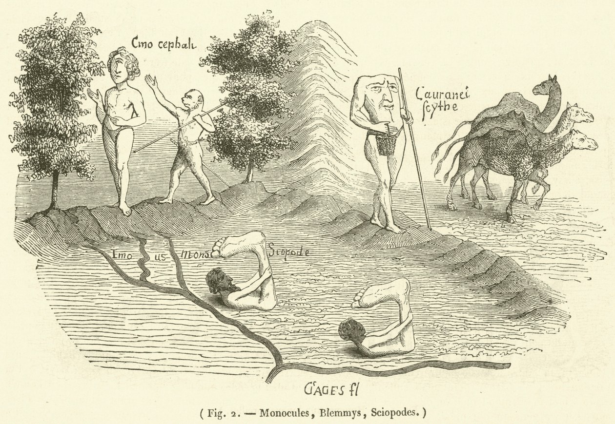 Monocules, Blemmys, Sciopodes (rycina) autorstwa French School