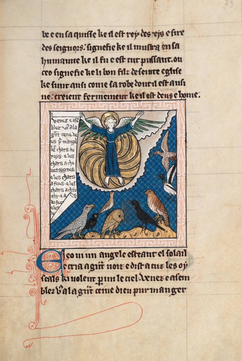 Ms 65 f73r, Komentarz do Apokalipsy św. Jana, koniec XIII w. (pióro i atrament oraz tempera na welinie) autorstwa French School