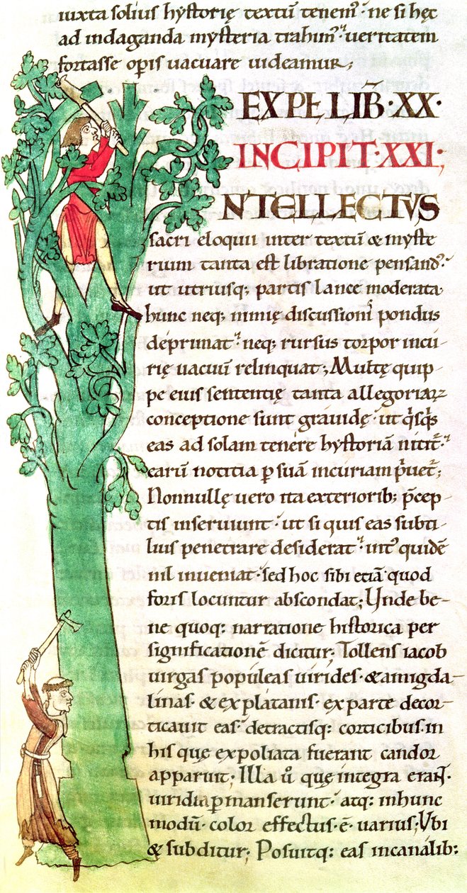 Ms 173 f.41 Historyczny inicjał I przedstawiający mnicha oraz świeckiego rąbiącego i przycinającego drzewo, z Moralia w Hiobie papieża Grzegorza Wielkiego autorstwa French School